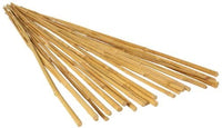 GROW!T HGBB6 - 6 Foot Long Bamboo Stakes, Natural Finish, (Pack of 25)
